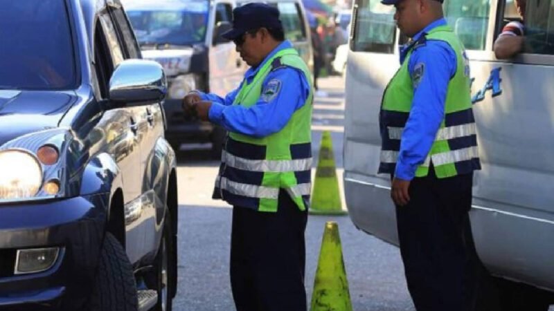 Multas si Acompañantes en Carro no Usan Cinturón de Seguridad carrosexpress
