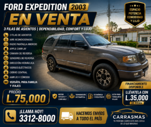 2003 Ford Expedition Principal